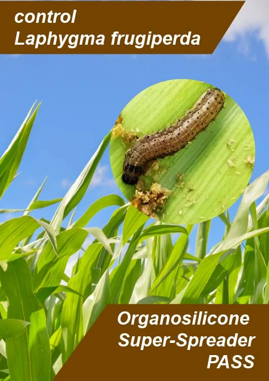 Demonstrating the use of Organosilicone Super-Spreader PASS with Emamectin Benzoate for effective pest control
